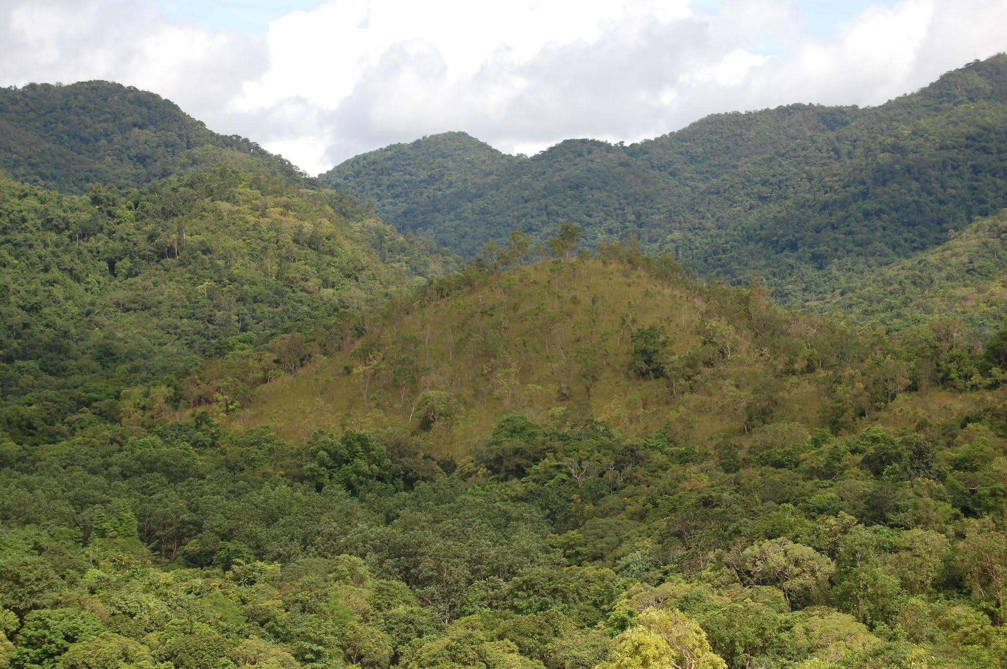 Busuanga Island Paradise Eksteriør billede